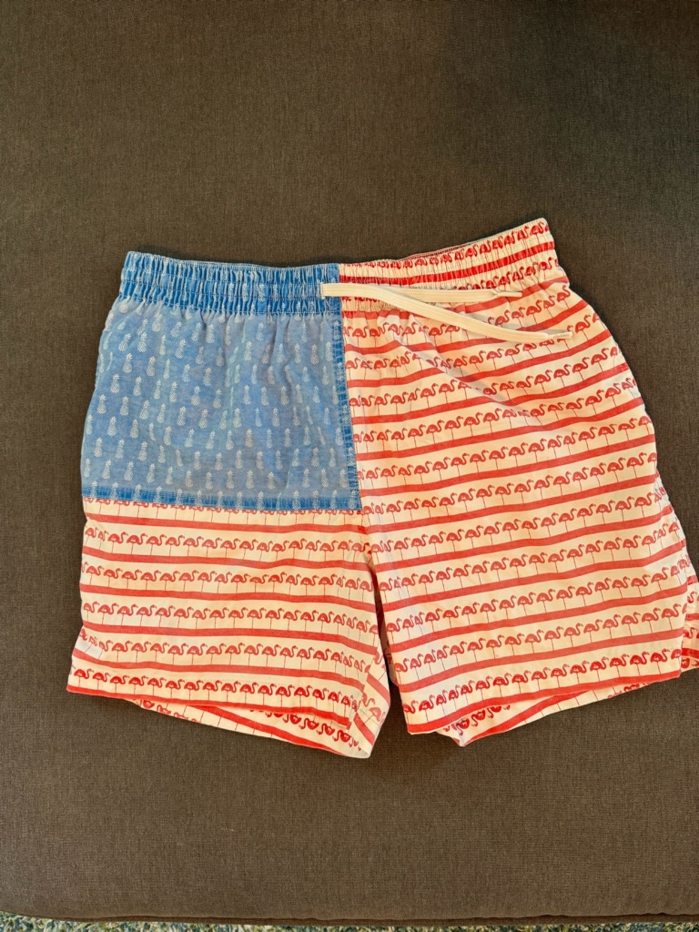 Chubbies Red & Blue Patterned Swim Trunks
